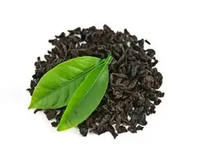 Green Tea Extract 95%