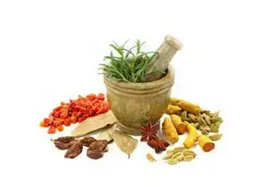 Plant Extracts - Herbal Extracts